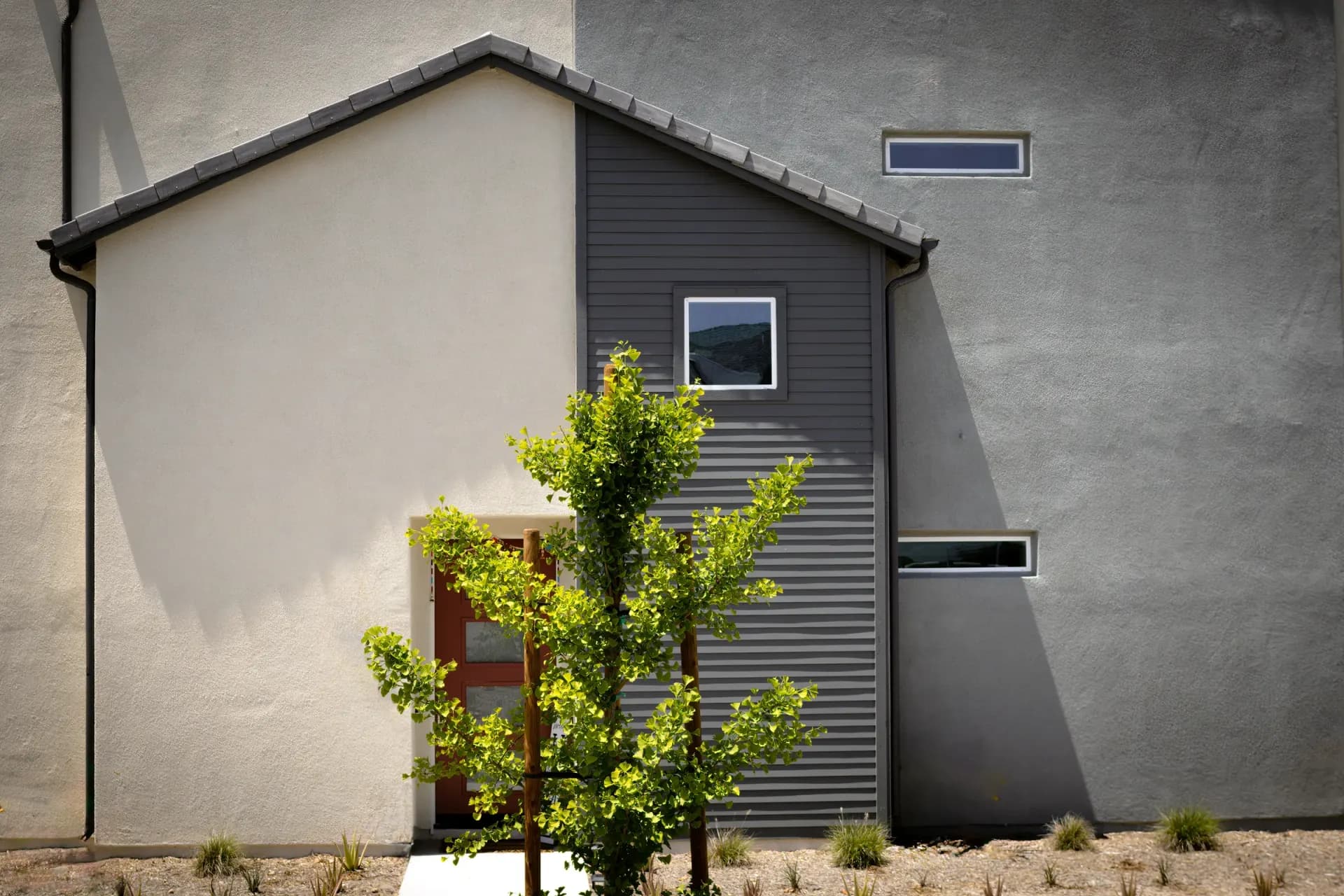 Modern detached garden suite built by Pro Construction Group in BC